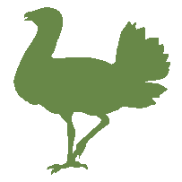 Menu divider icon